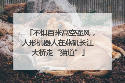 不惧百米高空强风，人形机器人在燕矶长江大桥走“猫道”
