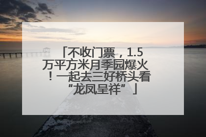 不收门票，1.5万平方米月季园爆火！一起去三好桥头看“龙凤呈祥”