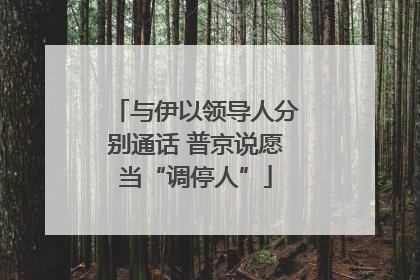 与伊以领导人分别通话 普京说愿当“调停人”
