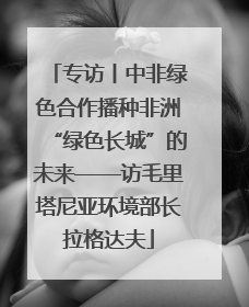 专访丨中非绿色合作播种非洲“绿色长城”的未来——访毛里塔尼亚环境部长拉格达夫