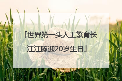 世界第一头人工繁育长江江豚迎20岁生日