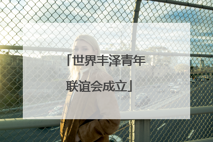 世界丰泽青年联谊会成立