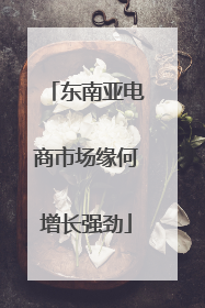 东南亚电商市场缘何增长强劲