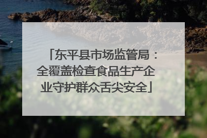 东平县市场监管局：全覆盖检查食品生产企业守护群众舌尖安全