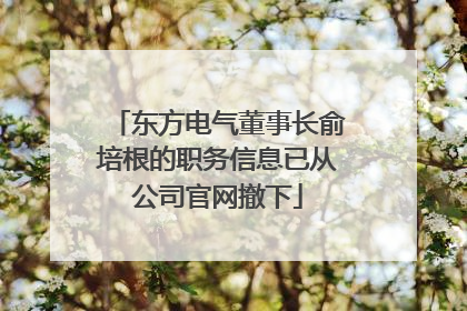 东方电气董事长俞培根的职务信息已从公司官网撤下