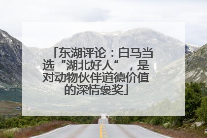 东湖评论：白马当选“湖北好人”，是对动物伙伴道德价值的深情褒奖