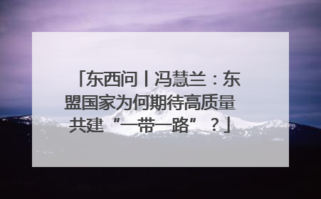 东西问丨冯慧兰：东盟国家为何期待高质量共建“一带一路”？