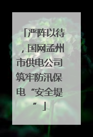 严阵以待，国网孟州市供电公司筑牢防汛保电“安全堤”