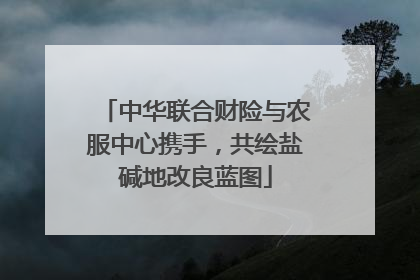 中华联合财险与农服中心携手，共绘盐碱地改良蓝图