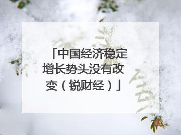 中国经济稳定增长势头没有改变（锐财经）