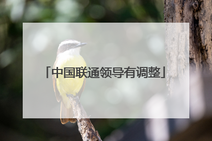 中国联通领导有调整