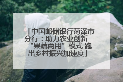 中国邮储银行菏泽市分行：助力农业创新 “果蔬两用”模式 跑出乡村振兴加速度