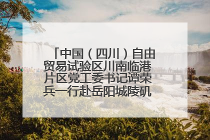 中国（四川）自由贸易试验区川南临港片区党工委书记谭荣兵一行赴岳阳城陵矶综保区考察