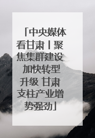 中央媒体看甘肃丨聚焦集群建设 加快转型升级 甘肃支柱产业增势强劲