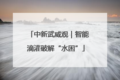 中新武威观｜智能滴灌破解“水困”