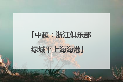 中超：浙江俱乐部绿城平上海海港