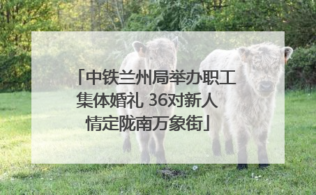 中铁兰州局举办职工集体婚礼 36对新人情定陇南万象街