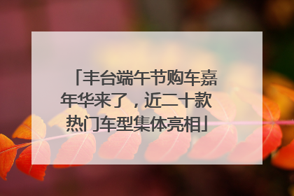 丰台端午节购车嘉年华来了，近二十款热门车型集体亮相