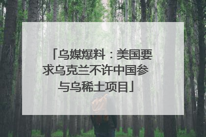 乌媒爆料：美国要求乌克兰不许中国参与乌稀土项目