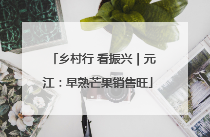 乡村行 看振兴｜元江：早熟芒果销售旺