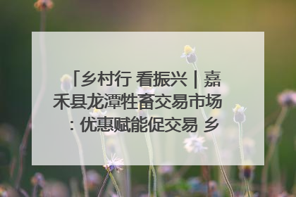乡村行 看振兴｜嘉禾县龙潭牲畜交易市场：优惠赋能促交易 乡村振兴添动能