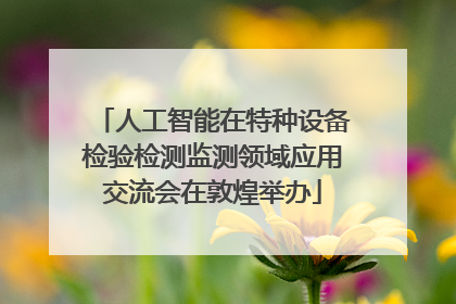 人工智能在特种设备检验检测监测领域应用交流会在敦煌举办