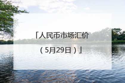 人民币市场汇价（5月29日）