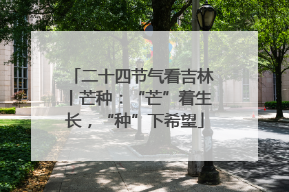 二十四节气看吉林丨芒种：“芒”着生长，“种”下希望