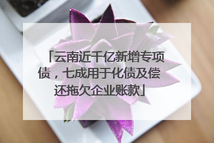 云南近千亿新增专项债，七成用于化债及偿还拖欠企业账款