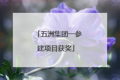 五洲集团一参建项目获奖