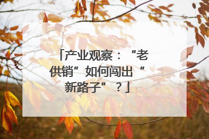 产业观察：“老供销”如何闯出“新路子”？