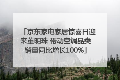 京东家电家居惊喜日迎来董明珠 带动空调品类销量同比增长100%