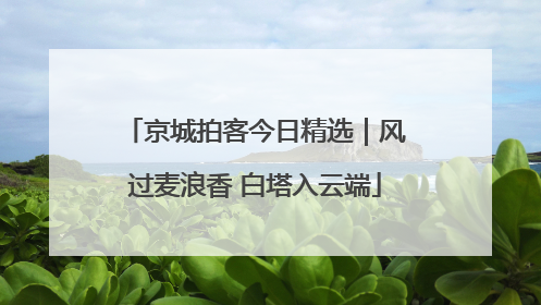 京城拍客今日精选｜风过麦浪香 白塔入云端
