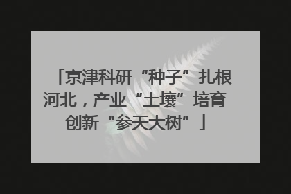 京津科研“种子”扎根河北，产业“土壤”培育创新“参天大树”