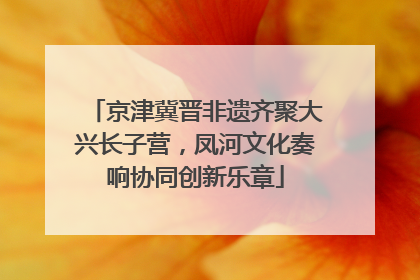 京津冀晋非遗齐聚大兴长子营，凤河文化奏响协同创新乐章