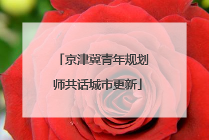 京津冀青年规划师共话城市更新