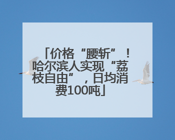 价格“腰斩”！哈尔滨人实现“荔枝自由”，日均消费100吨
