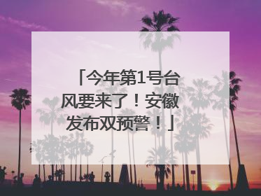 今年第1号台风要来了！安徽发布双预警！