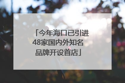 今年海口已引进48家国内外知名品牌开设首店