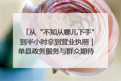 从“不知从哪儿下手”到半小时拿到营业执照｜单县政务服务与群众期待的“双向奔赴”