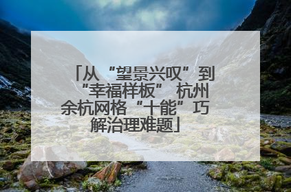 从“望景兴叹”到“幸福样板” 杭州余杭网格“十能”巧解治理难题