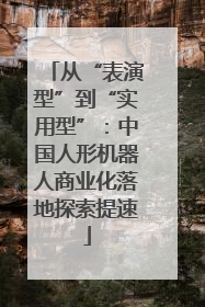 从“表演型”到“实用型”：中国人形机器人商业化落地探索提速