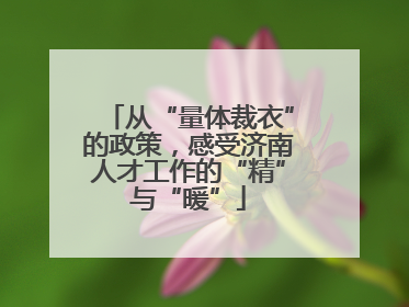 从“量体裁衣”的政策，感受济南人才工作的“精”与“暖”