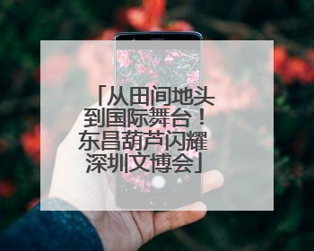 从田间地头到国际舞台！东昌葫芦闪耀深圳文博会