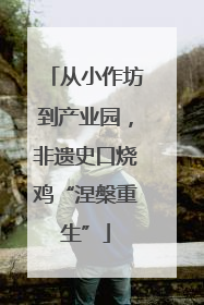 从小作坊到产业园，非遗史口烧鸡“涅槃重生”