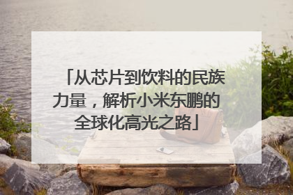 从芯片到饮料的民族力量，解析小米东鹏的全球化高光之路