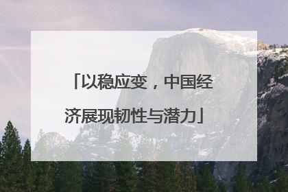 以稳应变，中国经济展现韧性与潜力