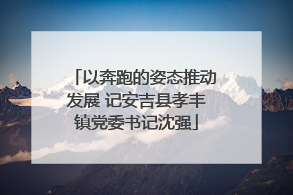 以奔跑的姿态推动发展 记安吉县孝丰镇党委书记沈强
