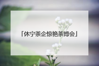 休宁茶企惊艳茶博会