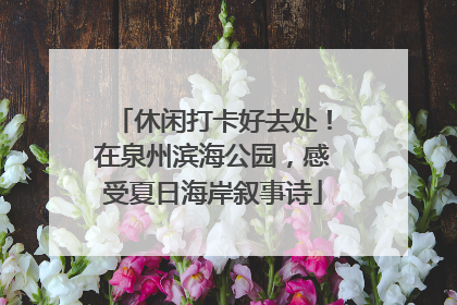 休闲打卡好去处！在泉州滨海公园，感受夏日海岸叙事诗
